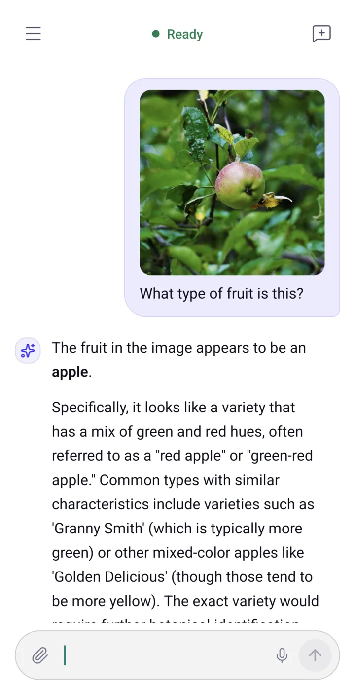Understands your photos